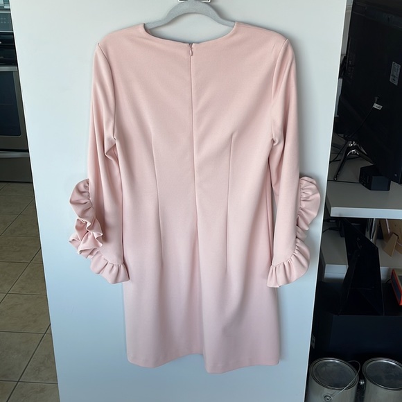 Hilary Radley for Katherine Barclay Woven Ruffle Sleeve Dress - Picture 5 of 6